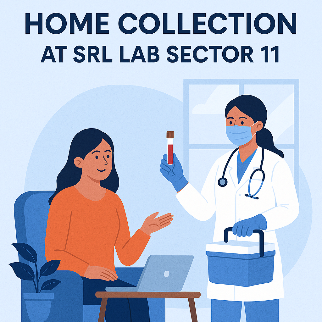 Home Collection SRL Lab Sector 11
